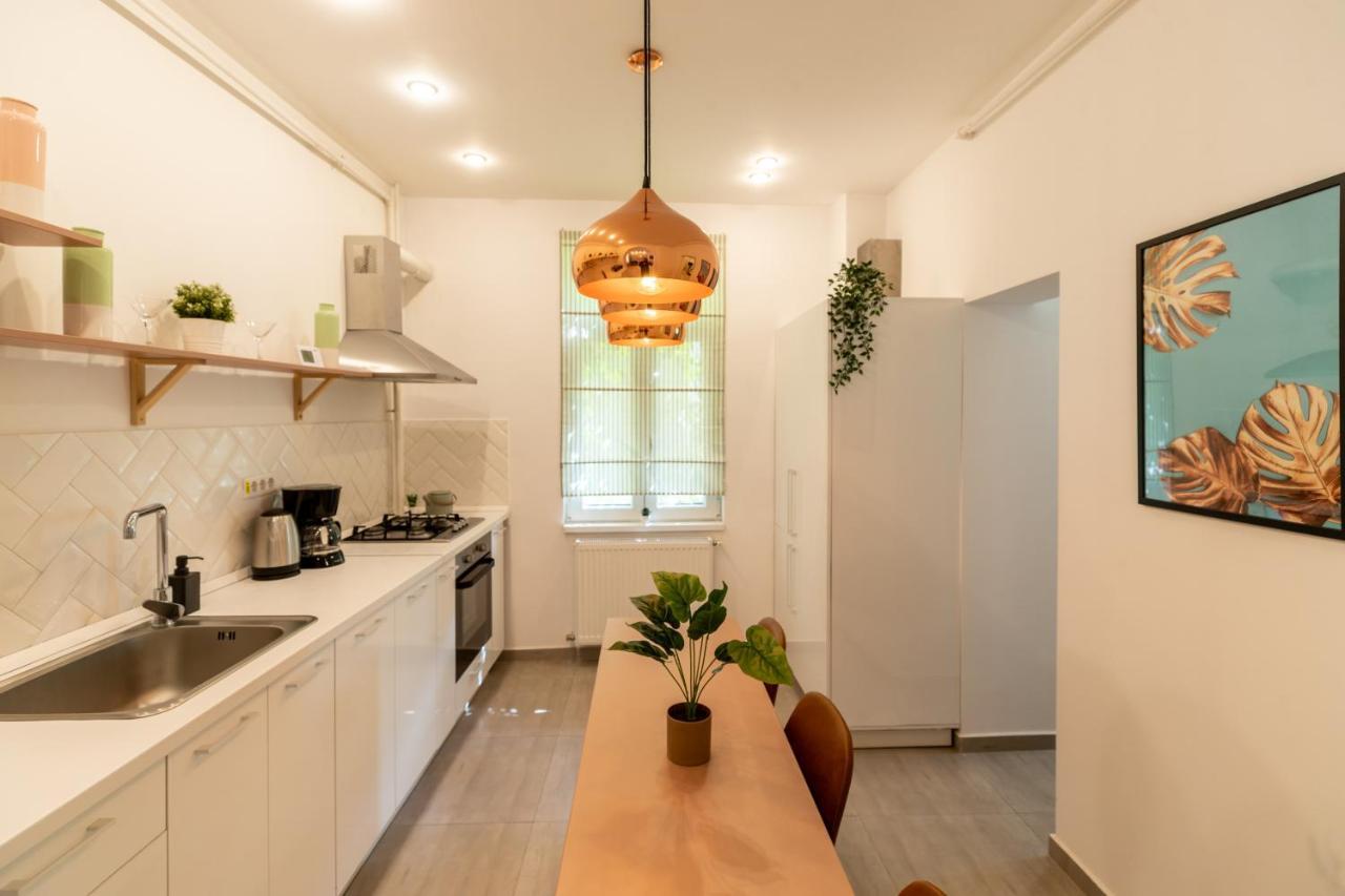 Ideal Stay: Spacious 2Br Apt Near Calea Victoriei بوخارست المظهر الخارجي الصورة