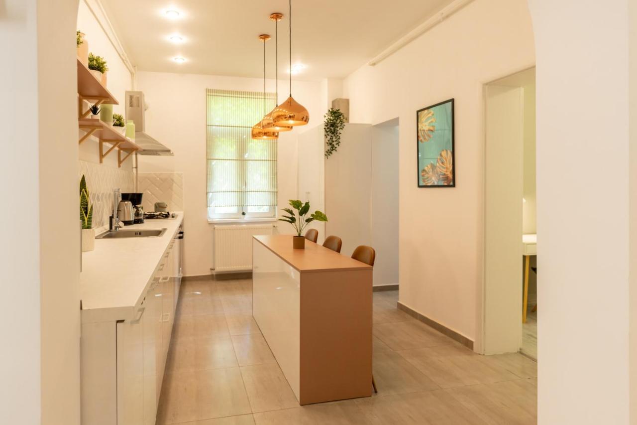 Ideal Stay: Spacious 2Br Apt Near Calea Victoriei بوخارست المظهر الخارجي الصورة